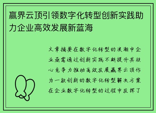 赢界云顶引领数字化转型创新实践助力企业高效发展新蓝海